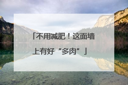 不用减肥！这面墙上有好“多肉”