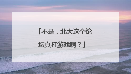 不是，北大这个论坛真打游戏啊？