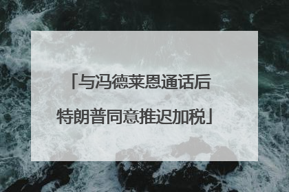 与冯德莱恩通话后 特朗普同意推迟加税