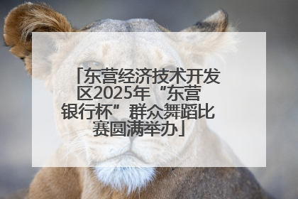 东营经济技术开发区2025年“东营银行杯”群众舞蹈比赛圆满举办