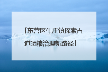 东营区牛庄镇探索占道晒粮治理新路径