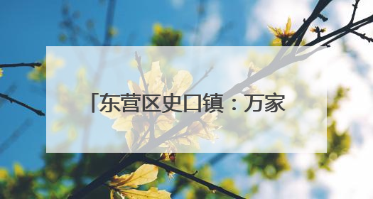 东营区史口镇：万家灯火里的文明微光