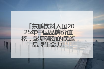 东鹏饮料入围2025年中国品牌价值榜，彰显强劲的民族品牌生命力