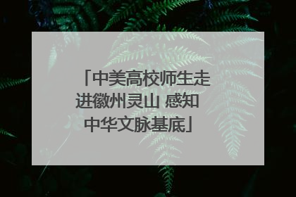 中美高校师生走进徽州灵山 感知中华文脉基底