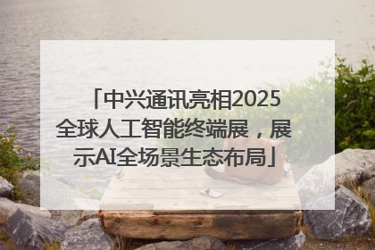 中兴通讯亮相2025全球人工智能终端展，展示AI全场景生态布局