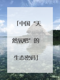 中国“天然氧吧”的生态密码