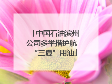 中国石油滨州公司多举措护航“三夏”用油