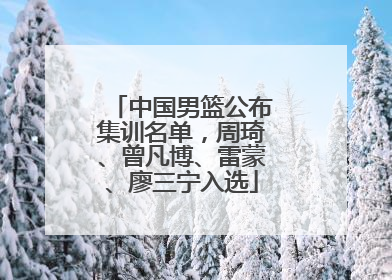 中国男篮公布集训名单，周琦、曾凡博、雷蒙、廖三宁入选
