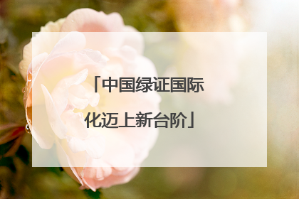 中国绿证国际化迈上新台阶