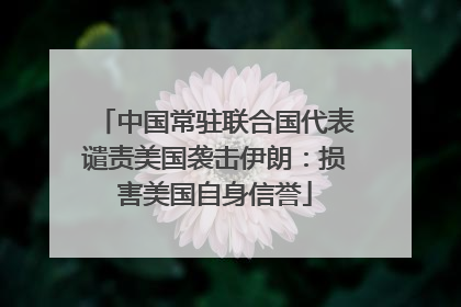 中国常驻联合国代表谴责美国袭击伊朗：损害美国自身信誉
