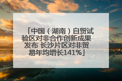 中国（湖南）自贸试验区对非合作创新成果发布 长沙片区对非贸易年均增长141%