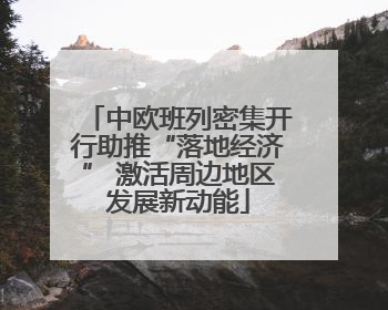 中欧班列密集开行助推“落地经济” 激活周边地区发展新动能
