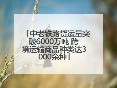 中老铁路货运量突破6000万吨 跨境运输商品种类达3000余种