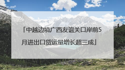 中越边境广西友谊关口岸前5月进出口货运量增长超三成