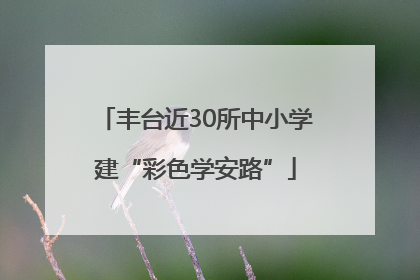 丰台近30所中小学建“彩色学安路”