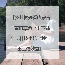 乡村振兴看内蒙古｜葡萄草莓“上下铺”，科技小院“种”出三倍效益