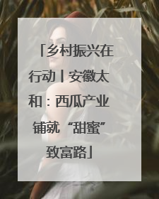 乡村振兴在行动丨安徽太和：西瓜产业铺就“甜蜜”致富路