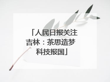 人民日报关注吉林：茶思造梦 科技报国