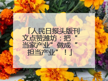 人民日报头版刊文点赞潍坊：把“当家产业”做成“担当产业”！