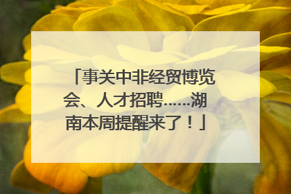 事关中非经贸博览会、人才招聘……湖南本周提醒来了！