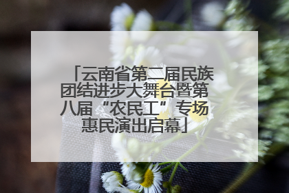 云南省第二届民族团结进步大舞台暨第八届“农民工”专场惠民演出启幕