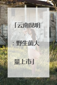 云南昆明：野生菌大量上市