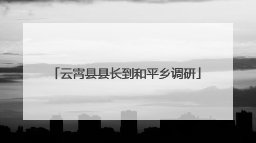云霄县县长到和平乡调研
