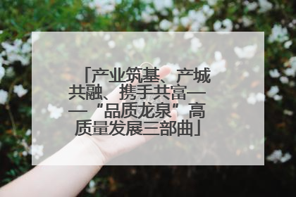 产业筑基、产城共融、携手共富——“品质龙泉”高质量发展三部曲