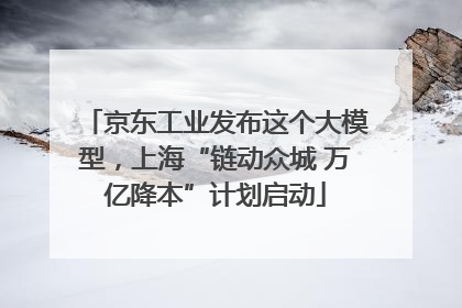 京东工业发布这个大模型，上海“链动众城 万亿降本”计划启动
