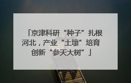 京津科研“种子”扎根河北，产业“土壤”培育创新“参天大树”