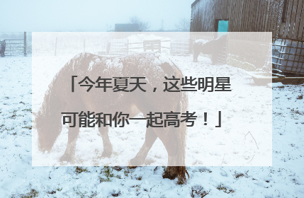 今年夏天，这些明星可能和你一起高考！