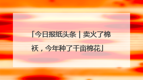 今日报纸头条｜卖火了棉袄，今年种了千亩棉花