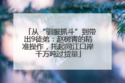 从“驯服抓斗”到带出9徒弟：赵树青的精准操作，托起同江口岸千万吨过货量