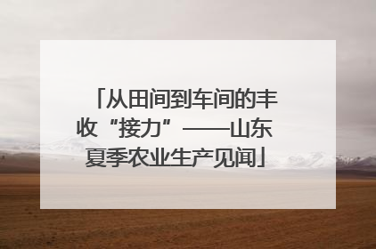 从田间到车间的丰收“接力”——山东夏季农业生产见闻