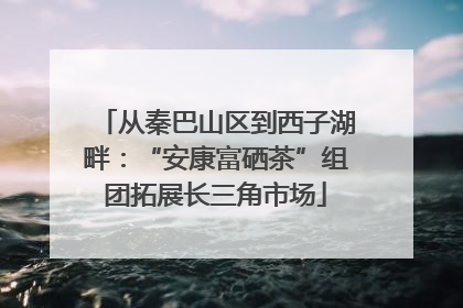 从秦巴山区到西子湖畔：“安康富硒茶”组团拓展长三角市场