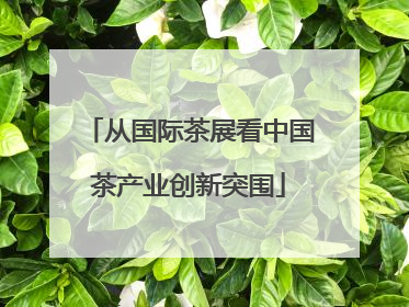 从国际茶展看中国茶产业创新突围