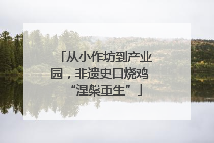 从小作坊到产业园，非遗史口烧鸡“涅槃重生”