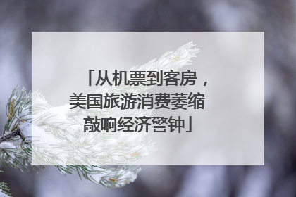 从机票到客房，美国旅游消费萎缩敲响经济警钟
