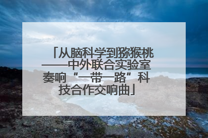 从脑科学到猕猴桃——中外联合实验室奏响“一带一路”科技合作交响曲