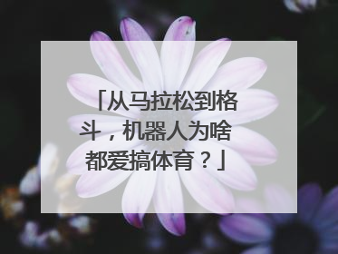 从马拉松到格斗，机器人为啥都爱搞体育？