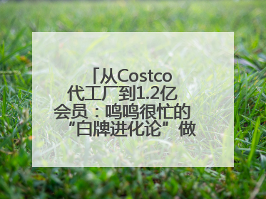 从Costco代工厂到1.2亿会员：鸣鸣很忙的“白牌进化论”做对了什么？