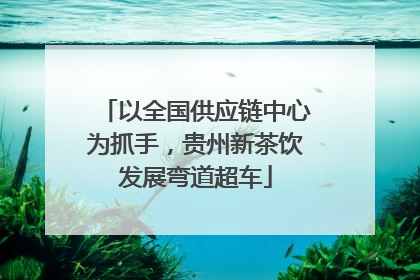 以全国供应链中心为抓手，贵州新茶饮发展弯道超车