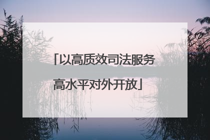 以高质效司法服务高水平对外开放