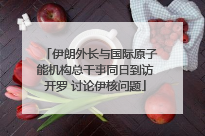 伊朗外长与国际原子能机构总干事同日到访开罗 讨论伊核问题