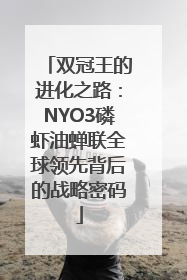 双冠王的进化之路：NYO3磷虾油蝉联全球领先背后的战略密码