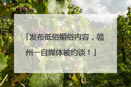 发布低俗媚俗内容，赣州一自媒体被约谈！