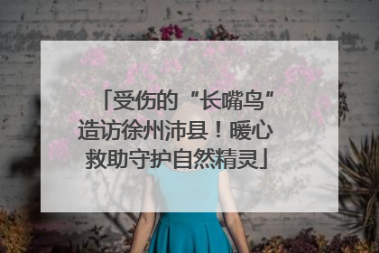 受伤的“长嘴鸟”造访徐州沛县！暖心救助守护自然精灵