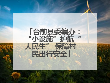台前县委编办：“小设施”护航“大民生” 保障村民出行安全