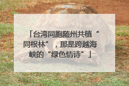 台湾同胞随州共植“同根林”，那是跨越海峡的“绿色情诗”