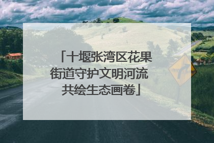 十堰张湾区花果街道守护文明河流 共绘生态画卷